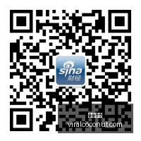 年欧洲天然,气价格飙升,美伊冲突引,开云全站官网,开云全站,开云体育,开云代理,开云平台