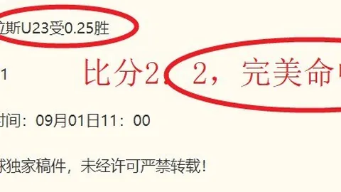 努比亚 手机携手领域先锋，长鑫存储、三星半导体等合作伙伴阵容